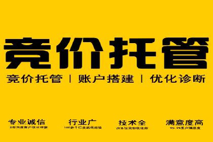 某电商平台信息流广告运营实战案例